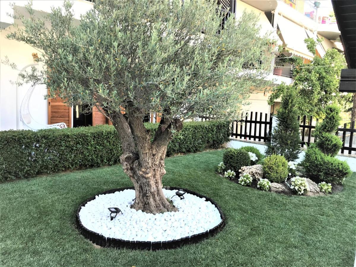 Amaryllis House Διαμέρισμα Πλαταμώνας Εξωτερικό φωτογραφία